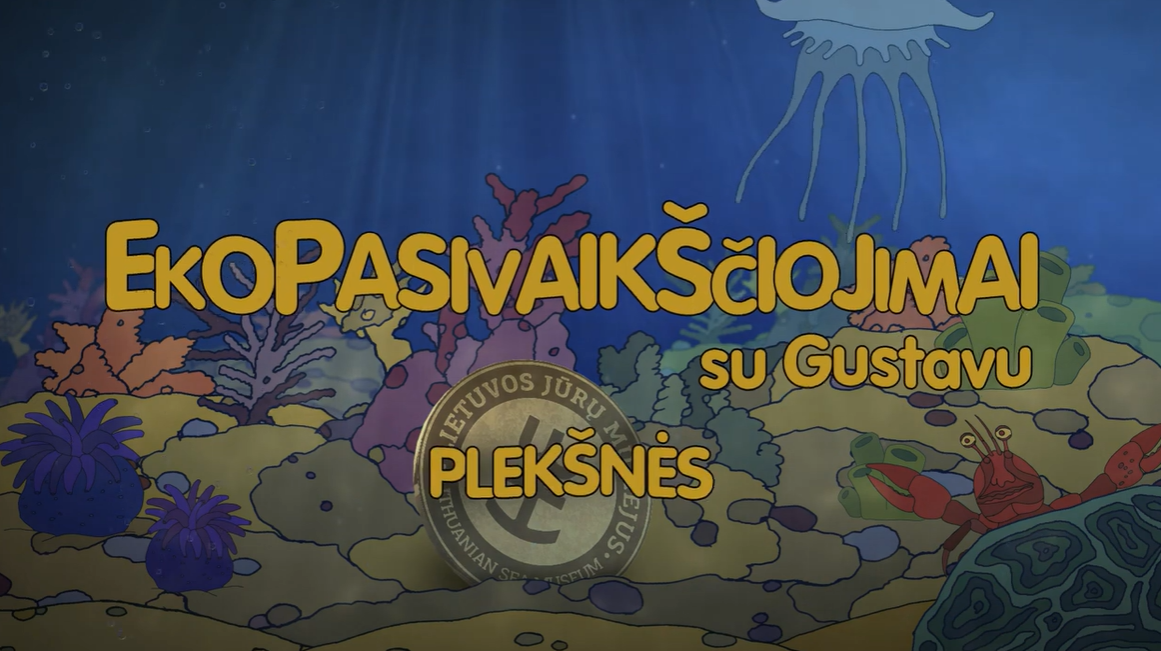 pleksne.png