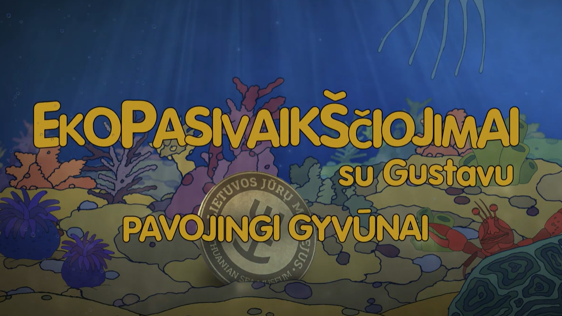 pavojingi.png