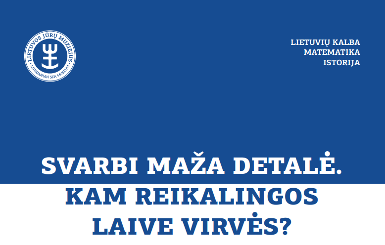 svarbi_maza_detale.png