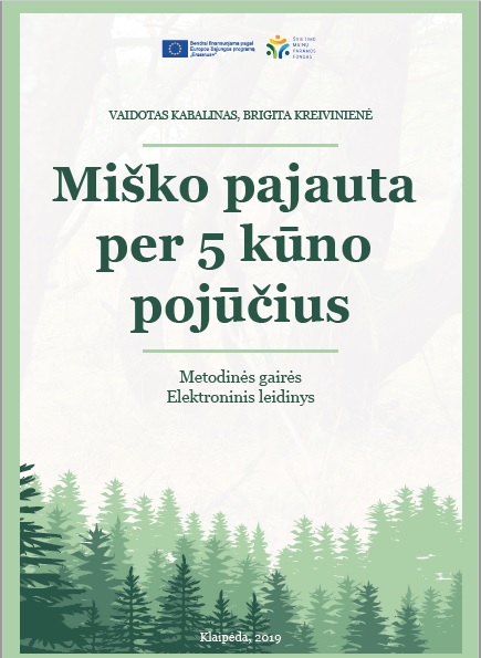 misko-pajauta.jpg