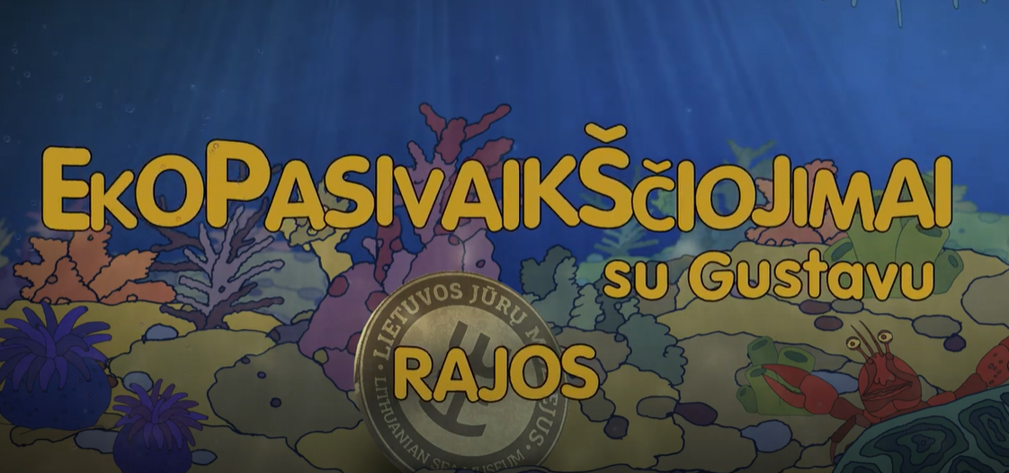 rajos.png