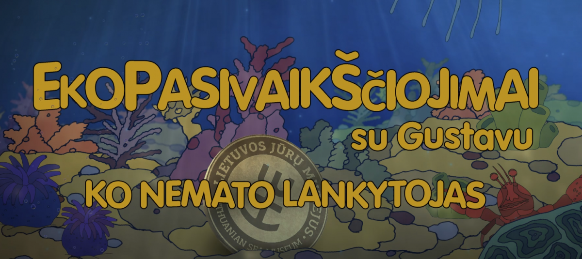 ko_nemato_lank.png