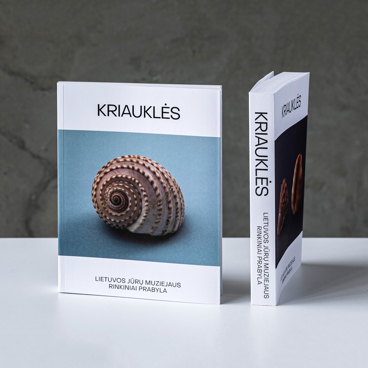 algirdas_stankevicius_lietuvos-juru-muziejaus-rinkiniai-prabyla-kriaukles_1.jpg